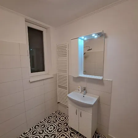 Διαμέρισμα Castanilor Studio Μπρασόβ