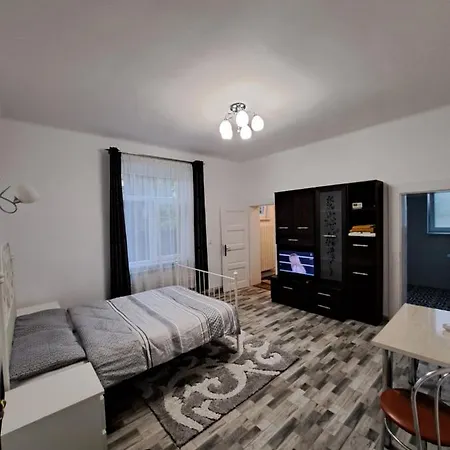 Castanilor Studio Braşov