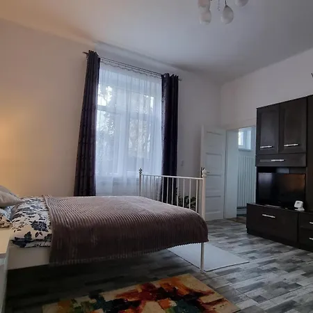 Castanilor Studio * Μπρασόβ