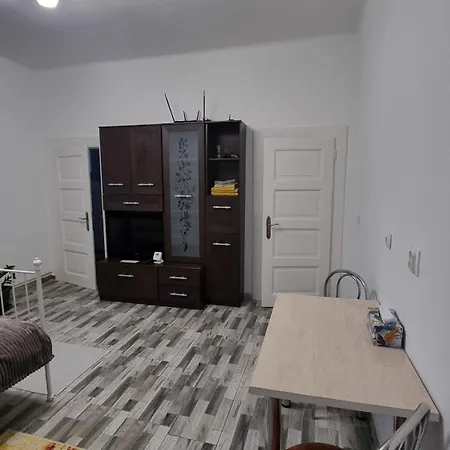Castanilor Studio Διαμέρισμα